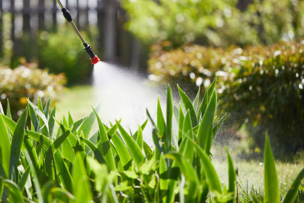 24/7 Emergency Cockroach Control experts in Salyersville, KY